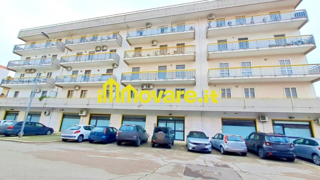 immagine annuncio 10 di 12