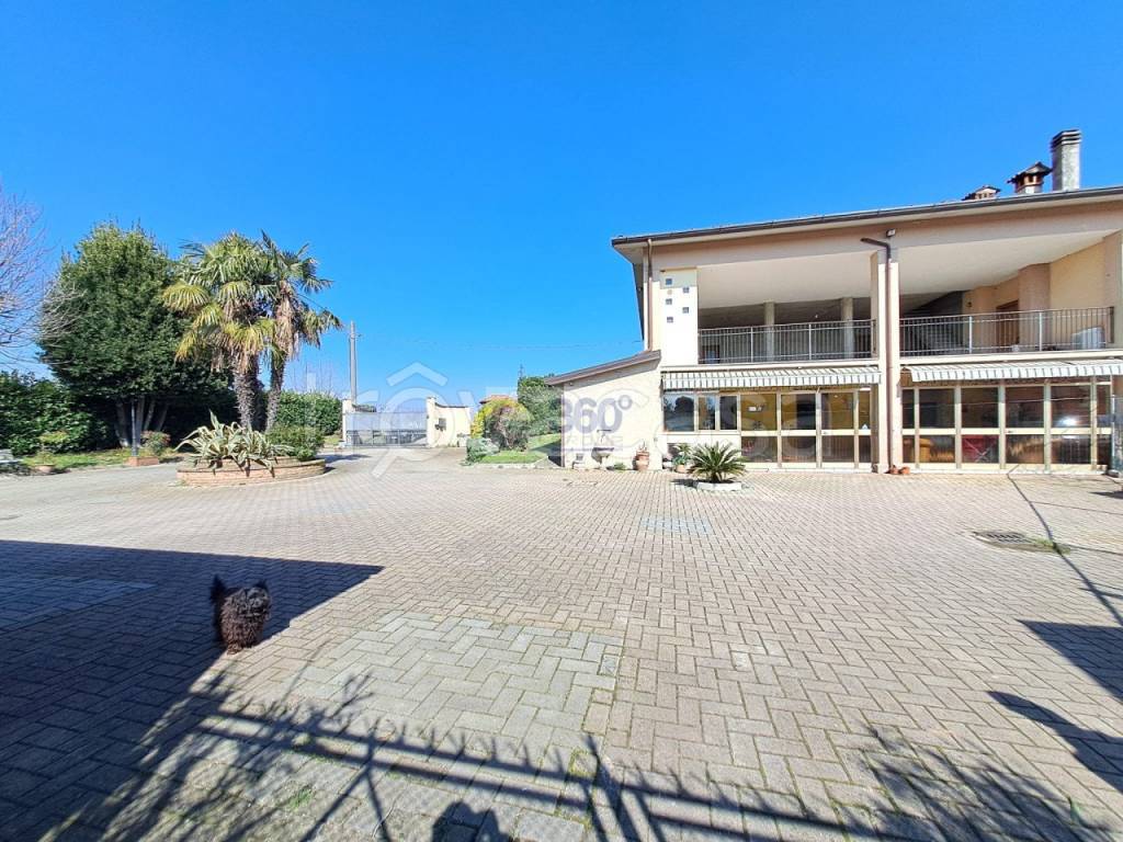 immagine annuncio 4 di 15