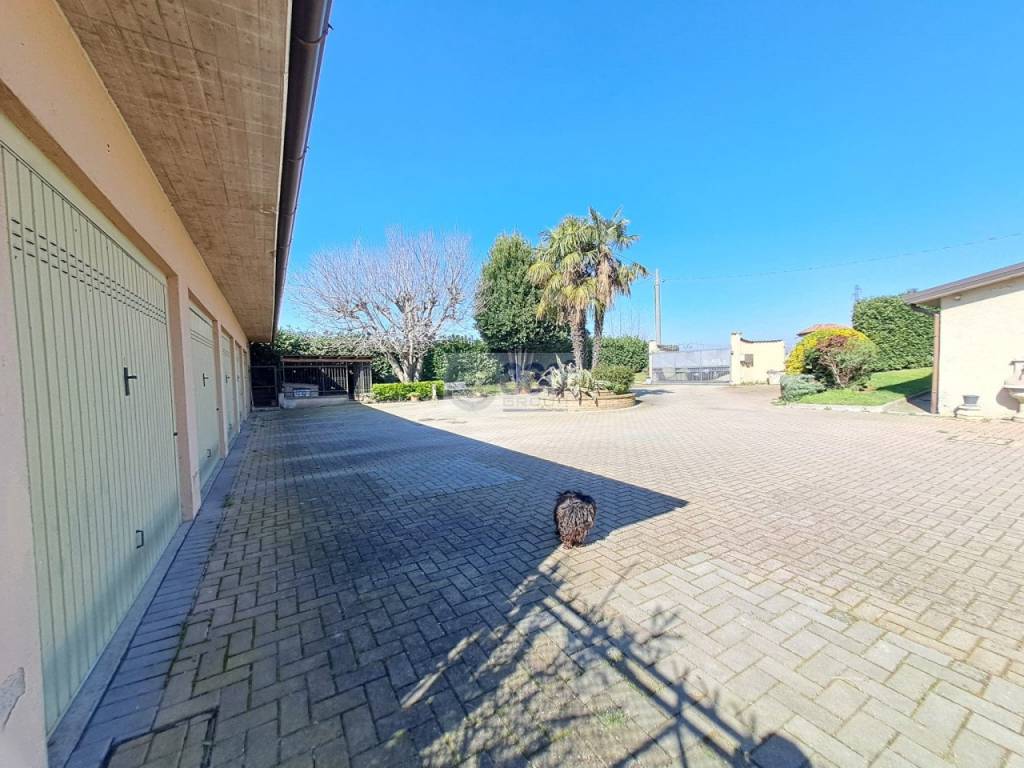 immagine annuncio 6 di 15