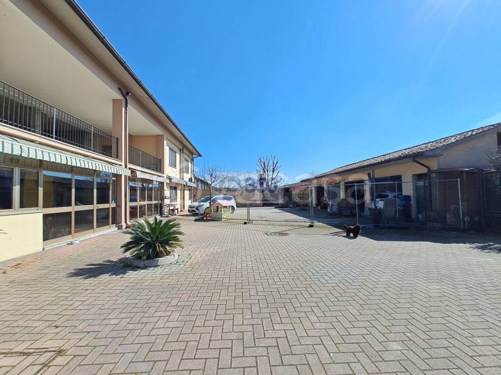 immagine annuncio 14 di 15