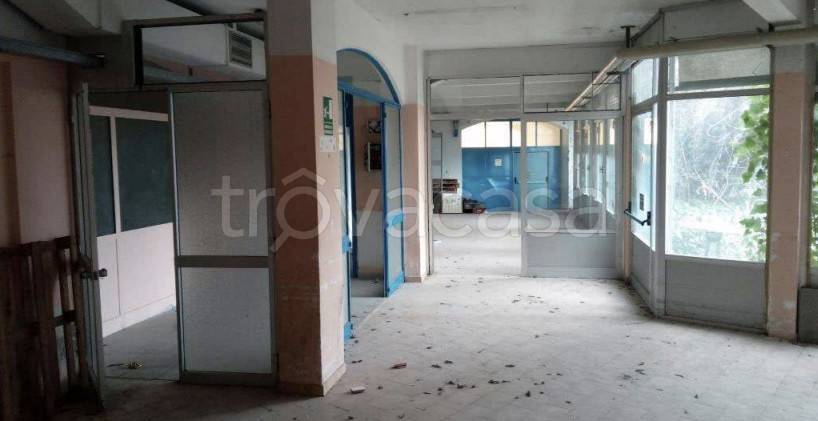 immagine annuncio 5 di 9