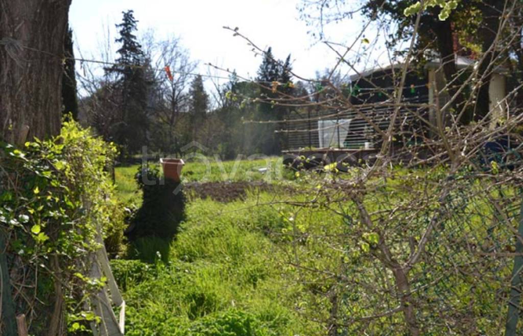 immagine annuncio 7 di 11