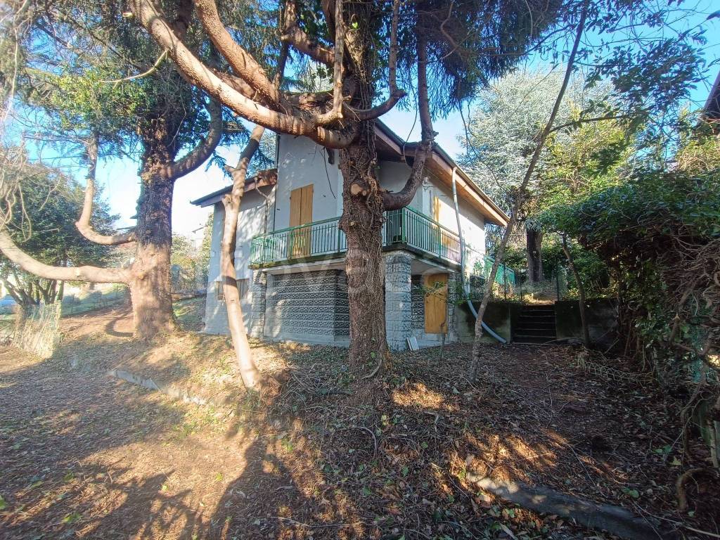 immagine annuncio 13 di 15