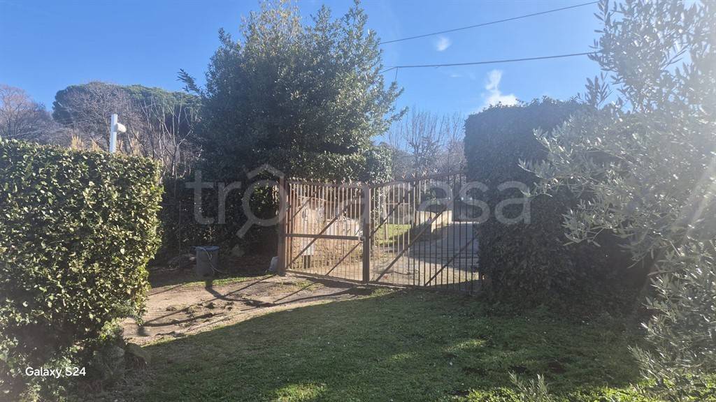 immagine annuncio 2 di 3