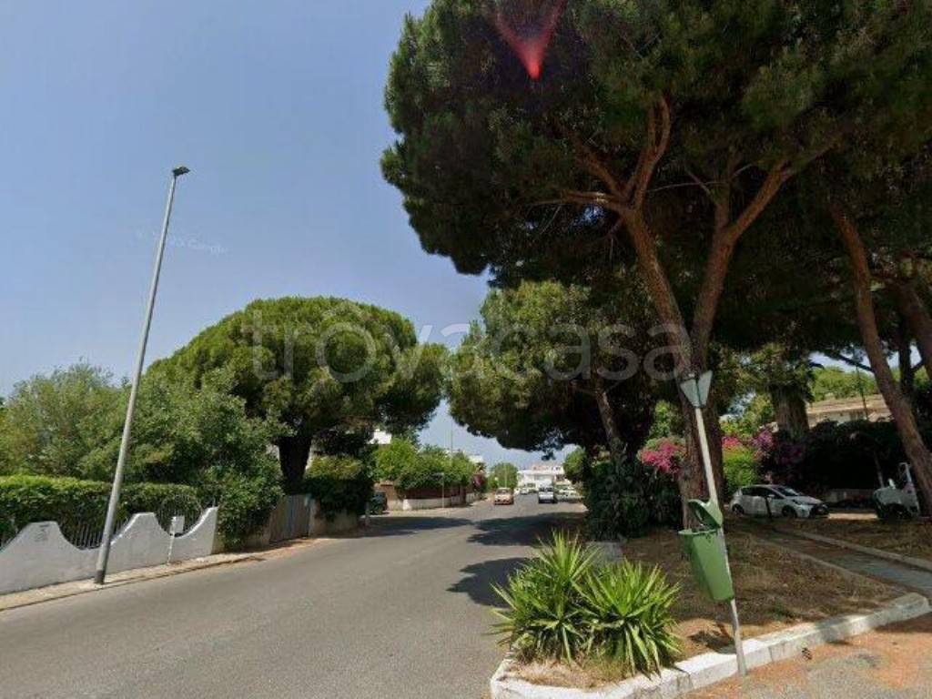 immagine annuncio 12 di 13