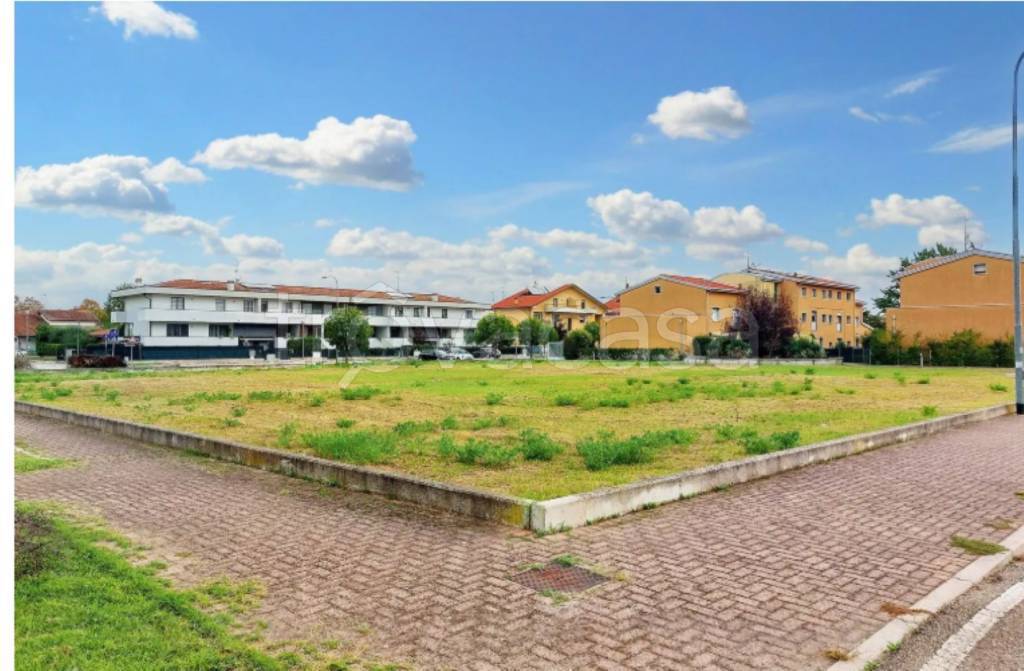 immagine annuncio 3 di 11