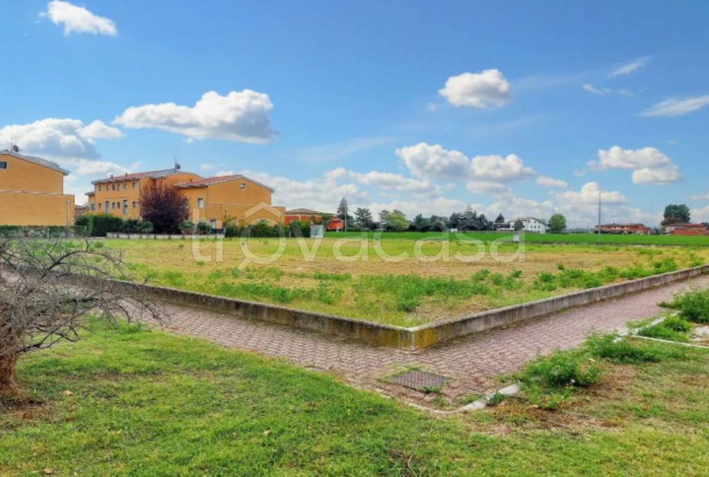 immagine annuncio 5 di 11