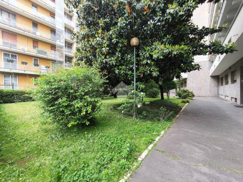 immagine annuncio 7 di 15