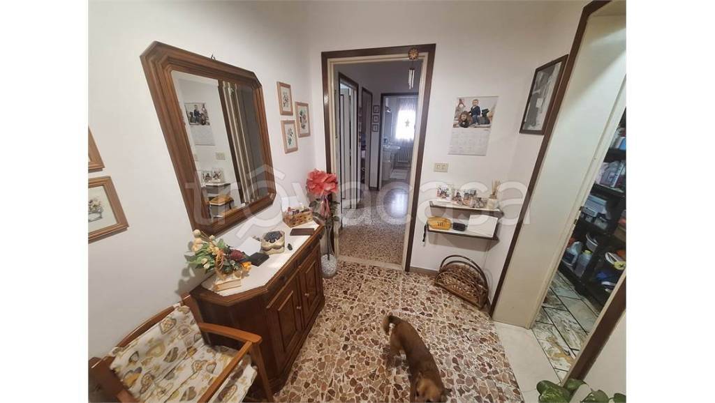 immagine annuncio 5 di 14