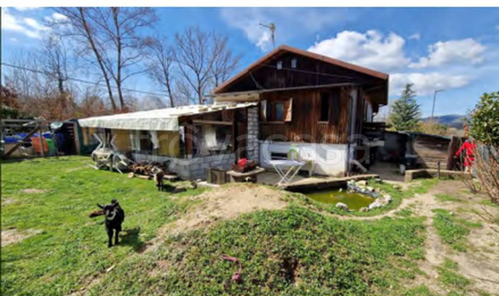 immagine annuncio 4 di 12