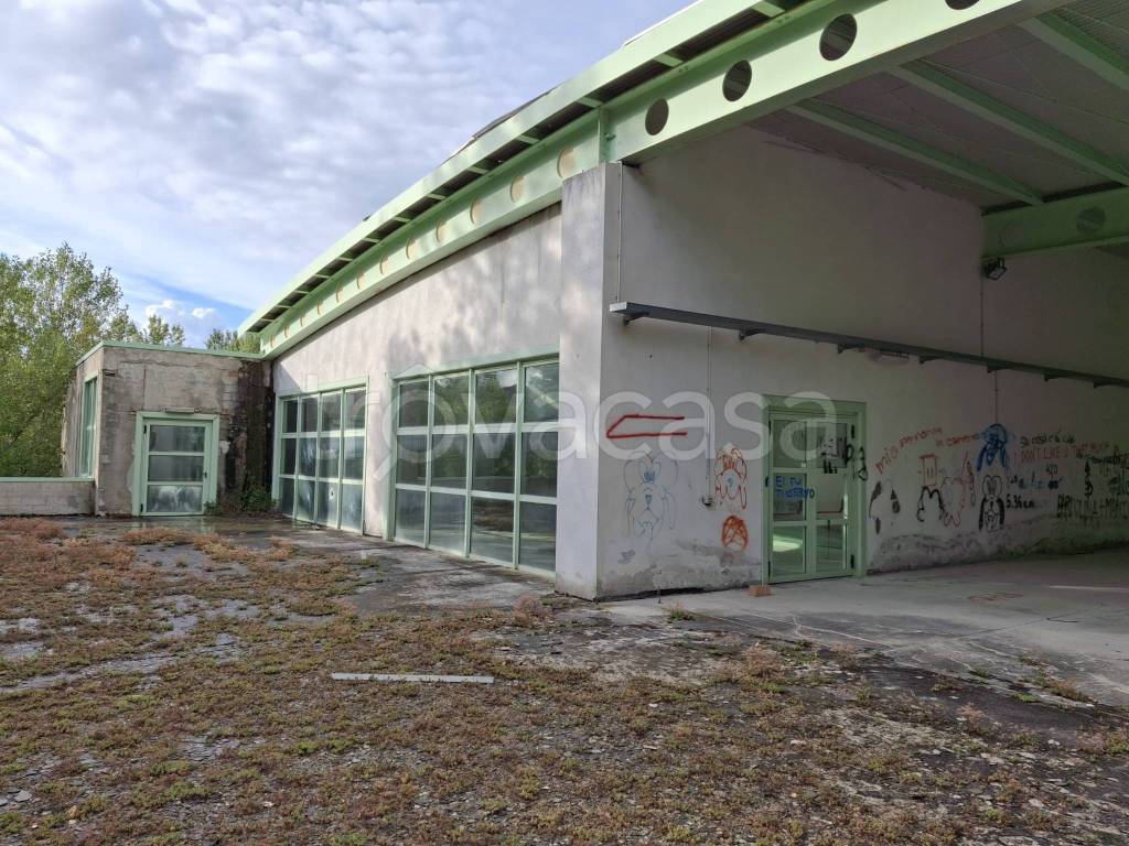 immagine annuncio 1 di 9