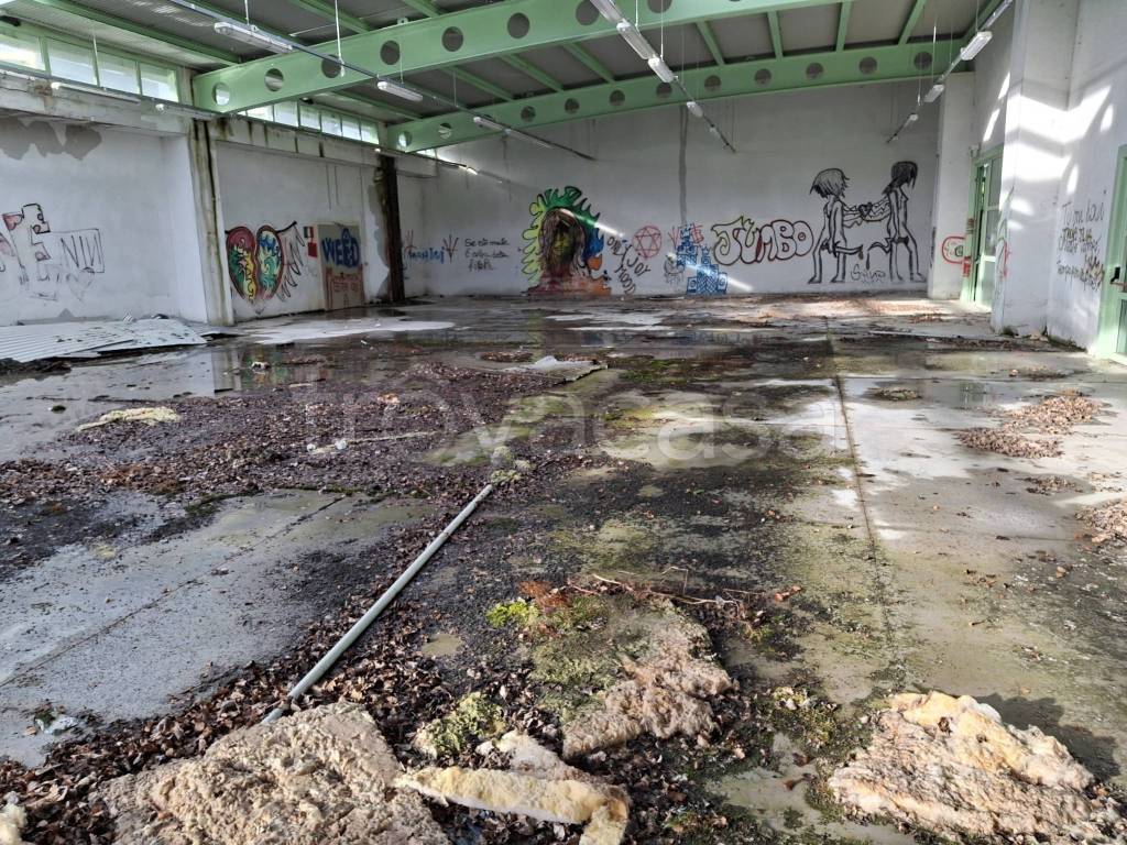 immagine annuncio 5 di 9