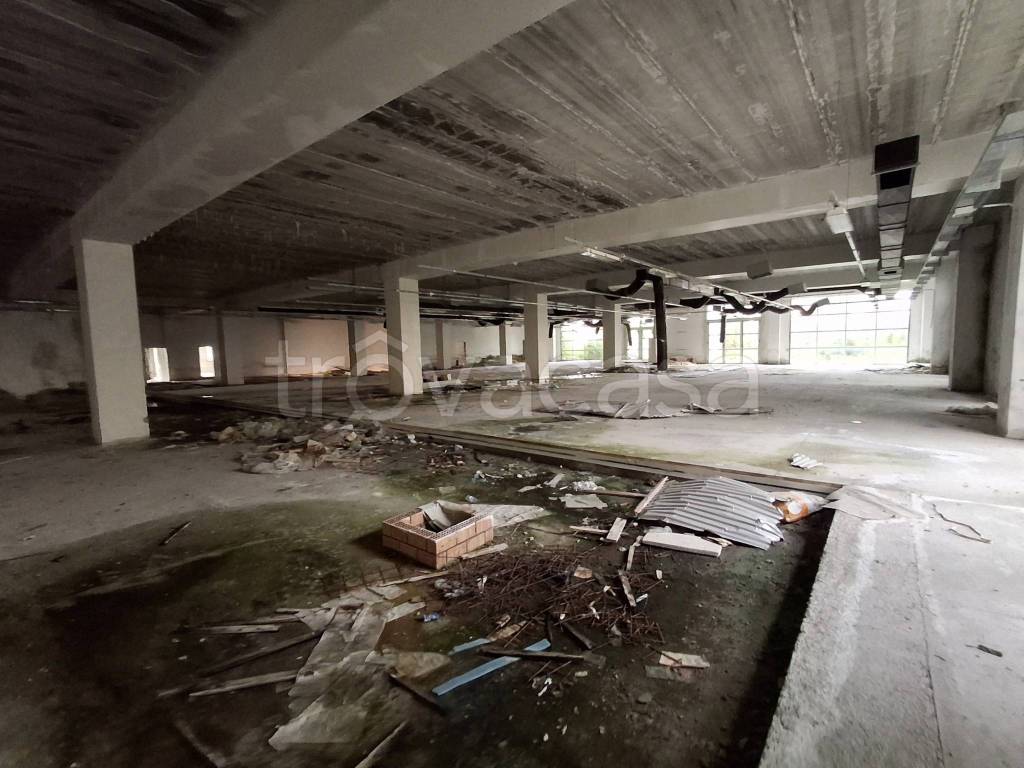 immagine annuncio 6 di 9