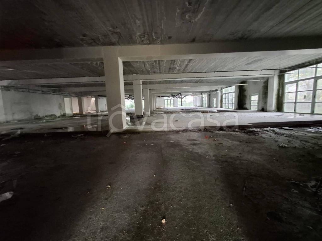 immagine annuncio 7 di 9