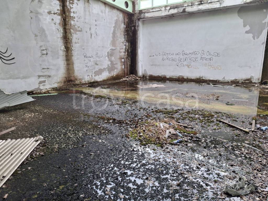 immagine annuncio 8 di 9