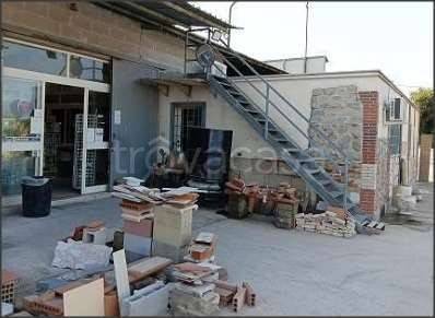 immagine annuncio 5 di 9