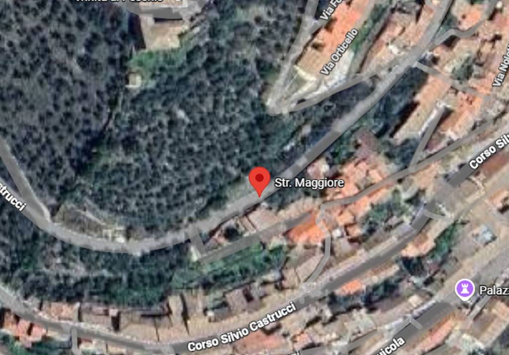 immagine annuncio 10 di 12