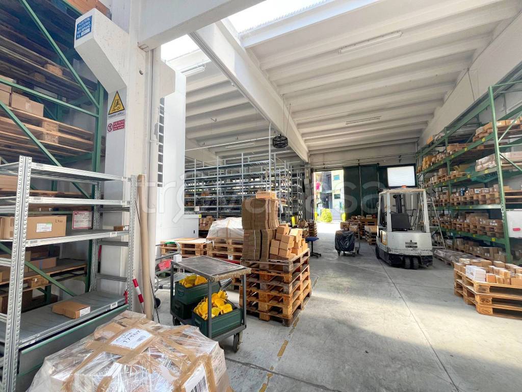 immagine annuncio 9 di 15