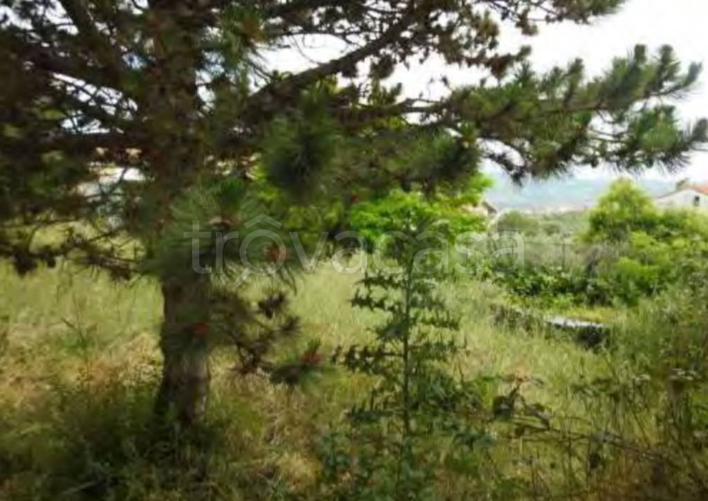 immagine annuncio 11 di 12