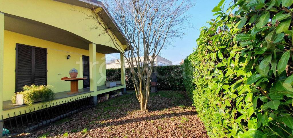 immagine annuncio 3 di 15