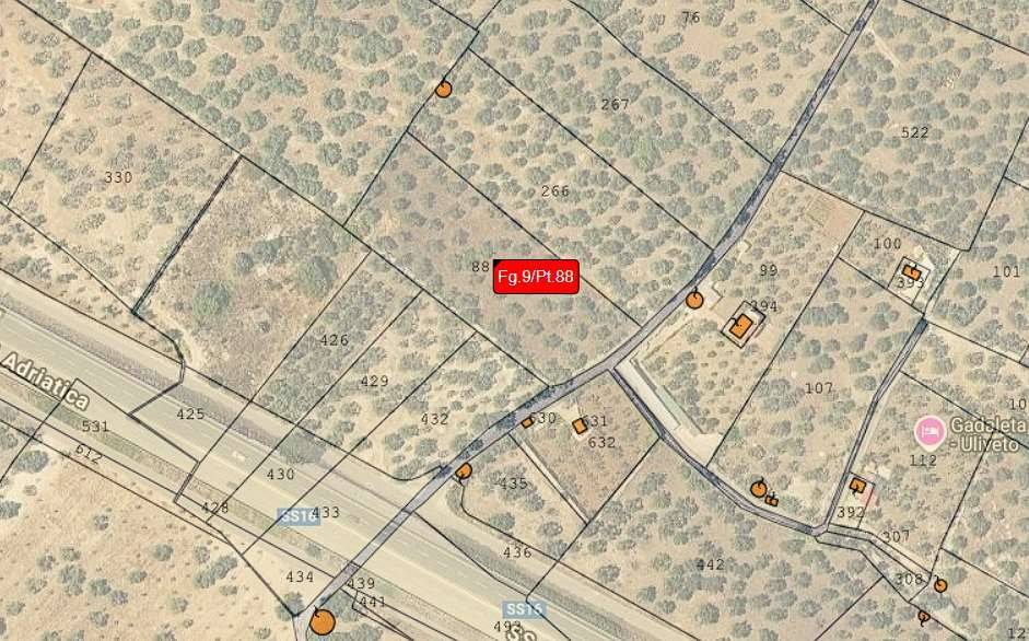 immagine annuncio 9 di 15