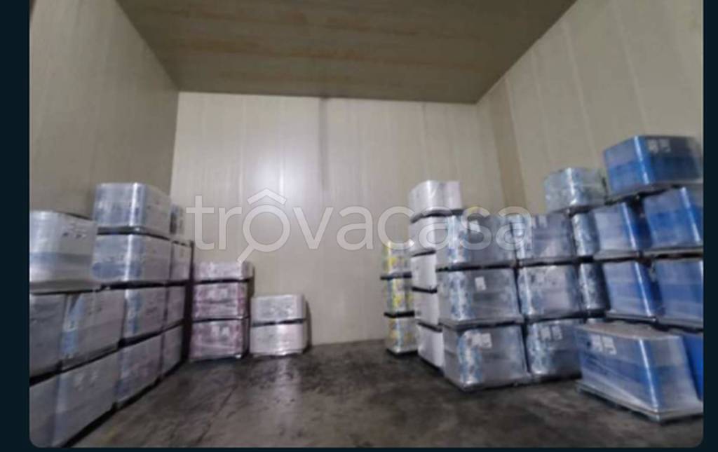 immagine annuncio 8 di 13