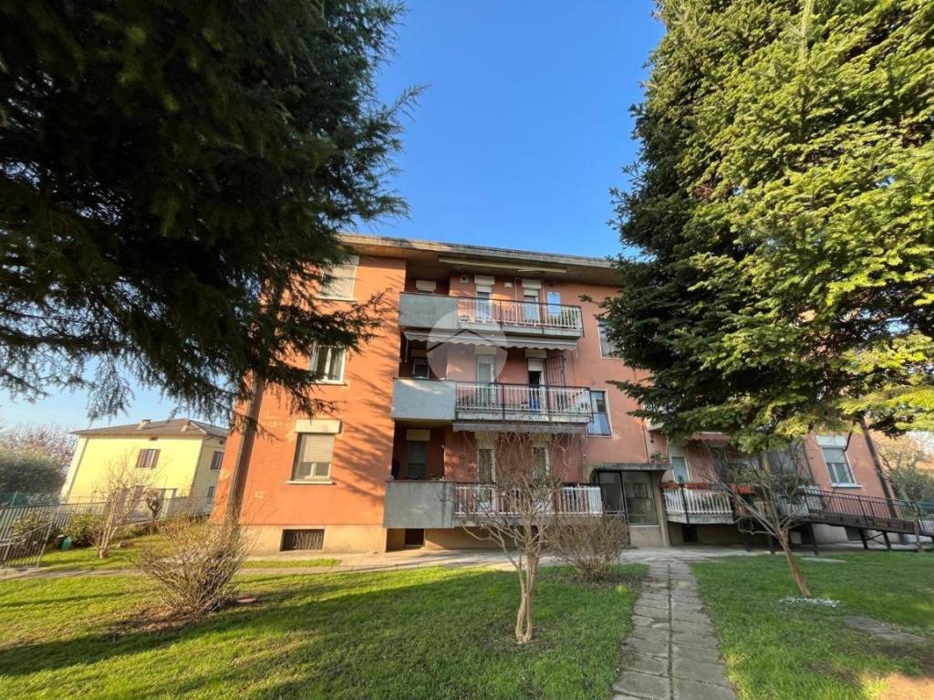 immagine annuncio 12 di 15