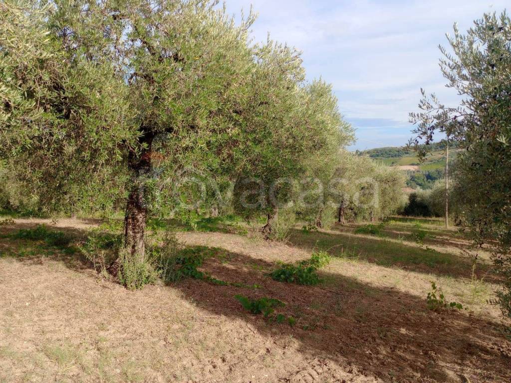 immagine annuncio 10 di 12