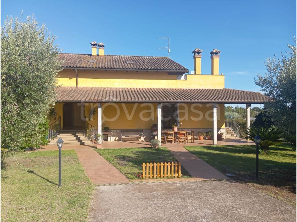 immagine annuncio 4 di 14