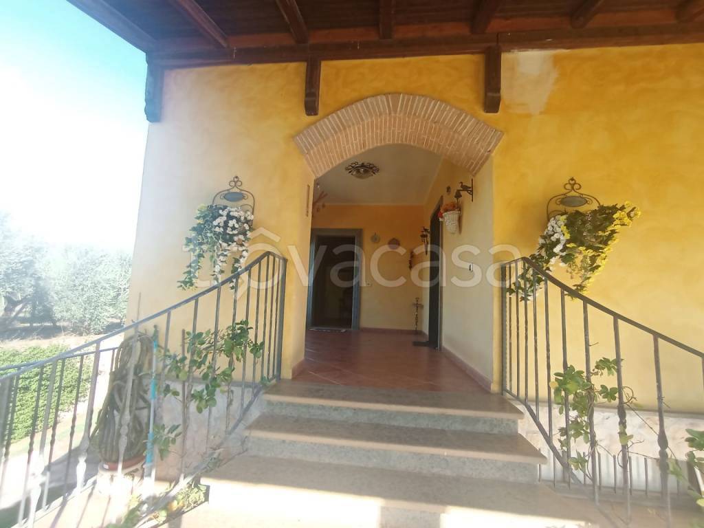 immagine annuncio 11 di 14