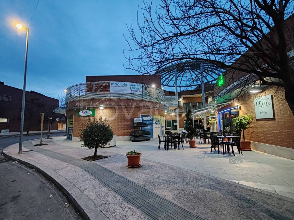 immagine annuncio 9 di 12