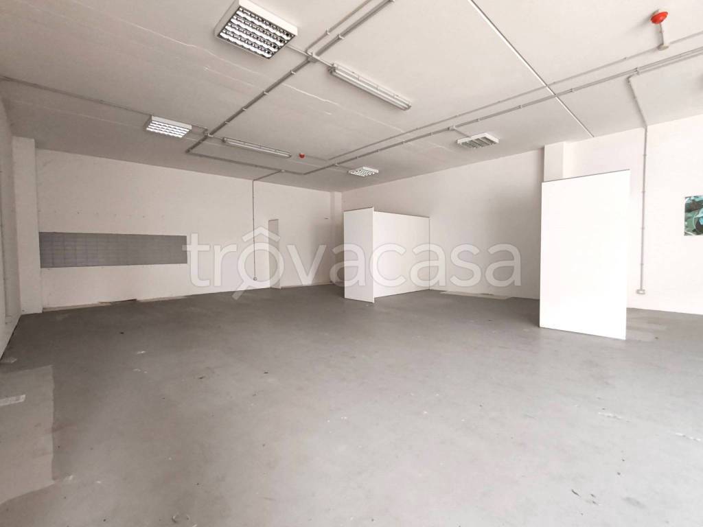 immagine annuncio 1 di 6