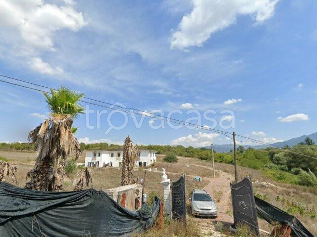 immagine annuncio 12 di 13