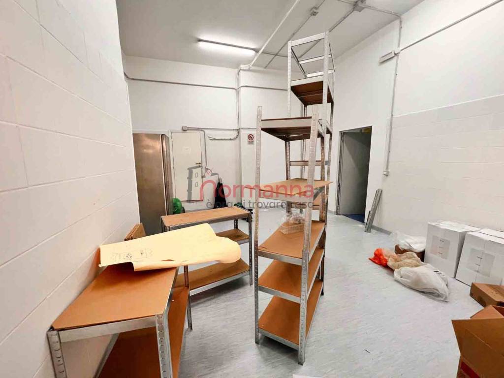 immagine annuncio 3 di 14