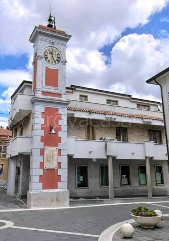 immagine annuncio 5 di 14