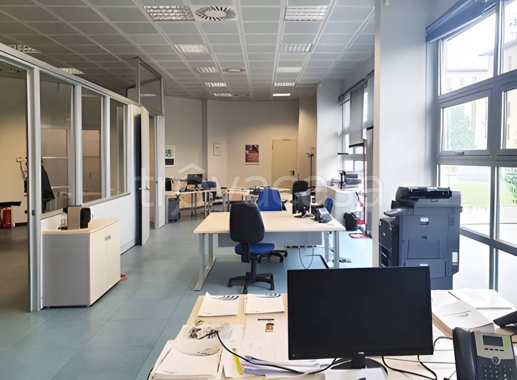 immagine annuncio 5 di 11