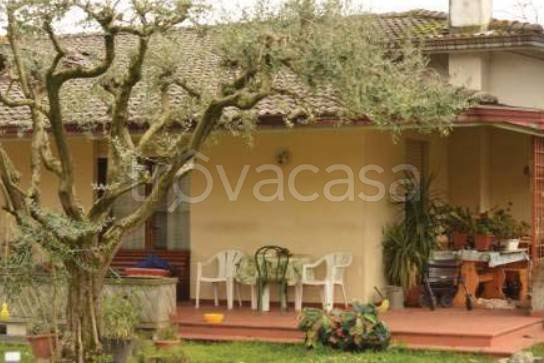 immagine annuncio 3 di 11