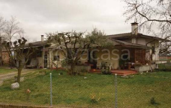 immagine annuncio 4 di 11