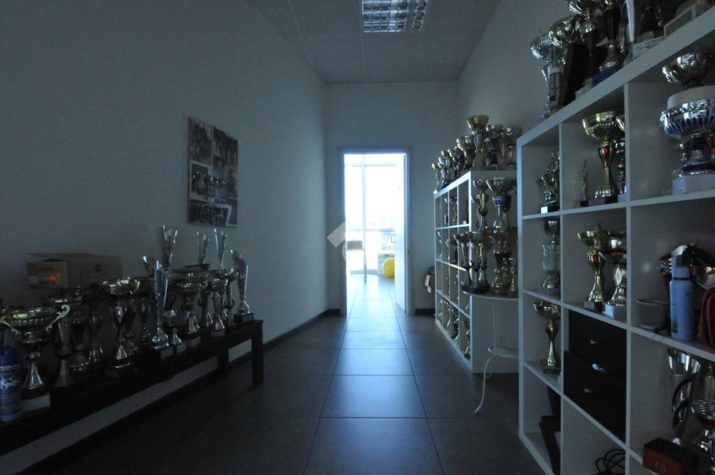 immagine annuncio 5 di 10