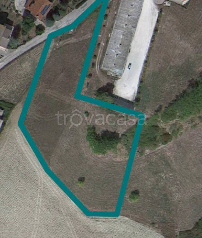 immagine annuncio 9 di 11