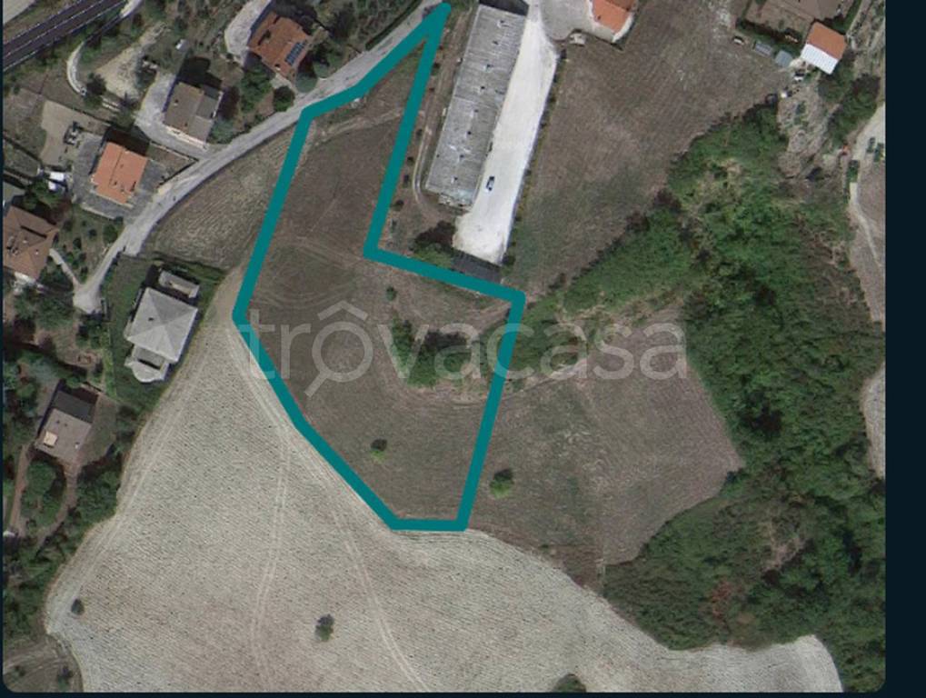 immagine annuncio 10 di 11