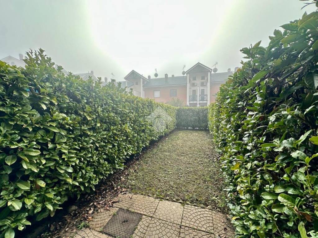 immagine annuncio 11 di 14