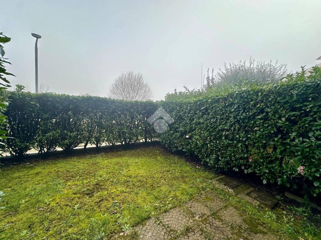 immagine annuncio 12 di 14