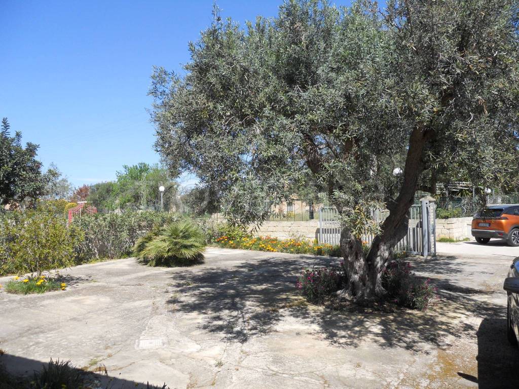 immagine annuncio 4 di 14