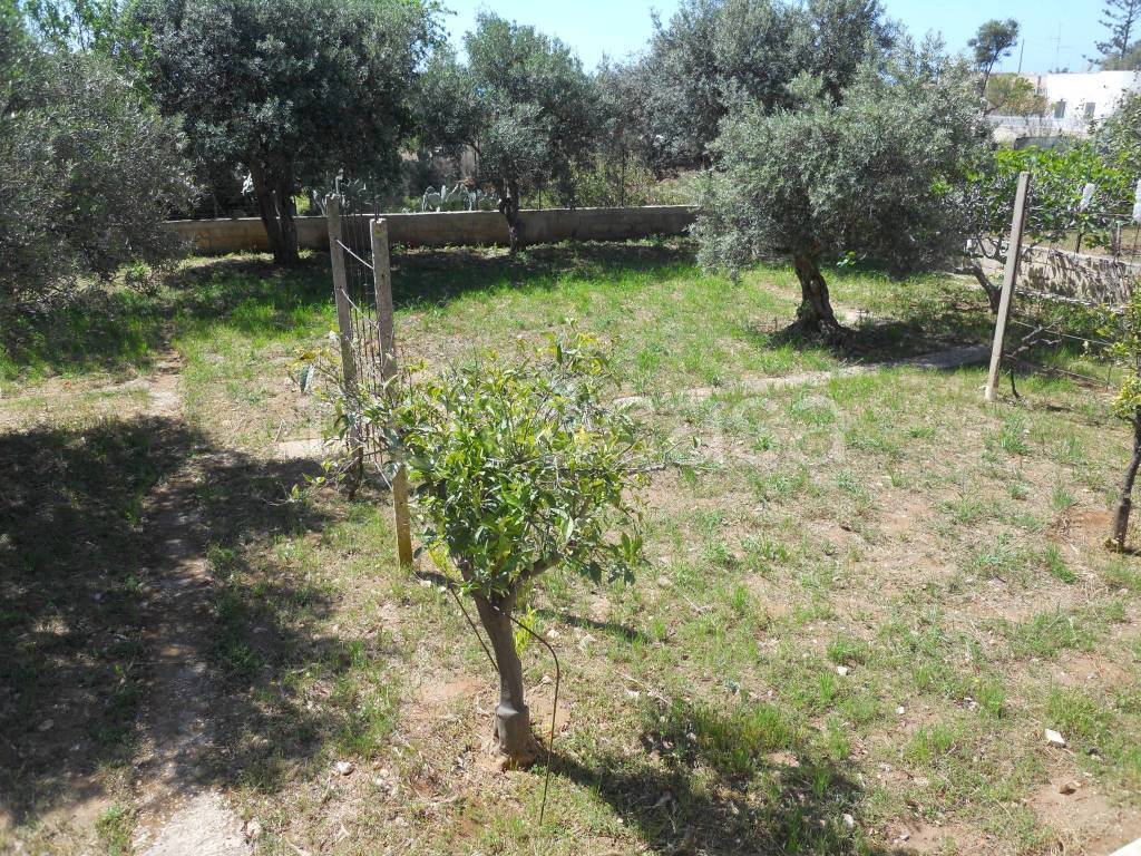 immagine annuncio 5 di 14