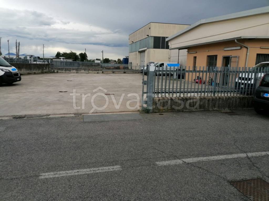 immagine annuncio 3 di 7