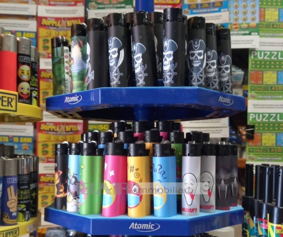 immagine annuncio 9 di 15