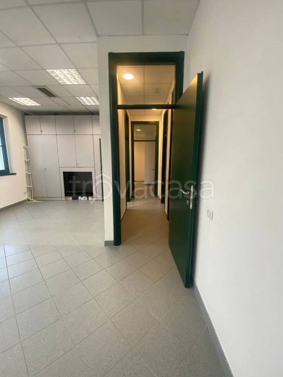 immagine annuncio 9 di 12