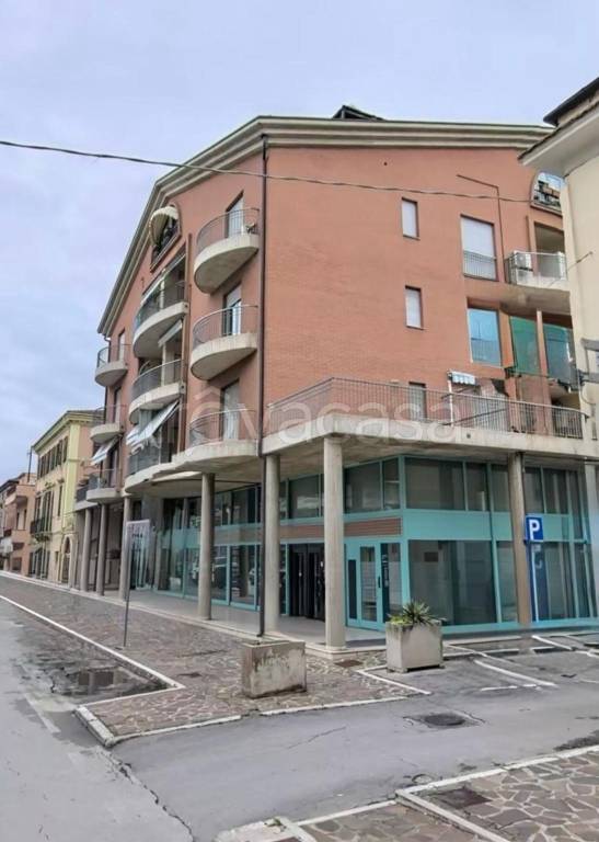 immagine annuncio 5 di 13