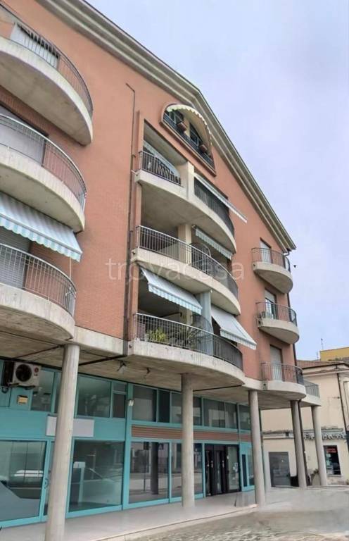 immagine annuncio 9 di 13